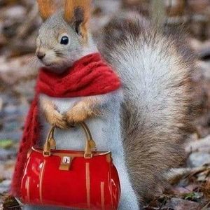 Meet your Posher, Susan